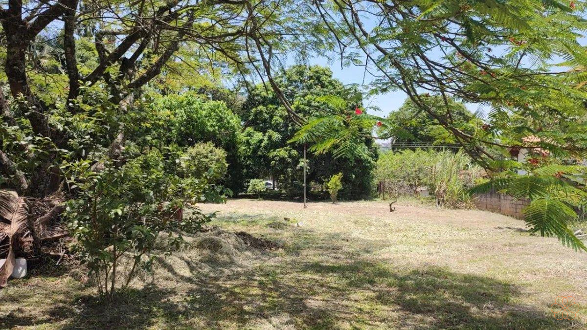 Chácara, 3 quartos - Foto 2